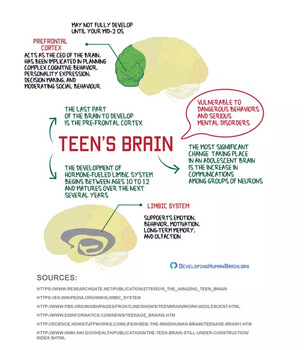 The teen brain is vulnerable to dangerous behaviors and serious mental disorders